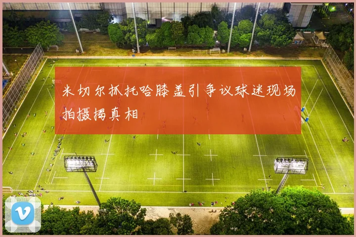 米切尔抓托哈膝盖引争议球迷现场拍摄揭真相