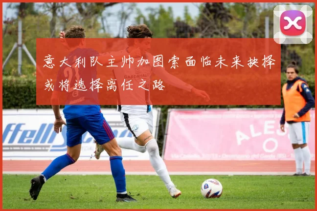 意大利队主帅加图索面临未来抉择或将选择离任之路